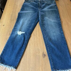 Madewell high waist Straight Leg Jeans in Faded Blue